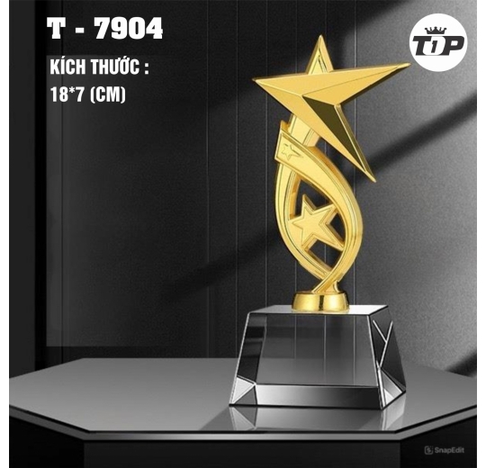 Hào Quang Chiến Thắng – Triumph Star Trophy - 7904