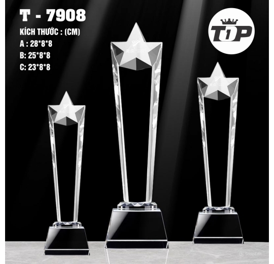 Ngôi Sao Pha Lê – Crystal Star Trophy - 7908
