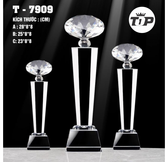 Kim Cương Vinh Danh – Diamond Honor Trophy - 7909