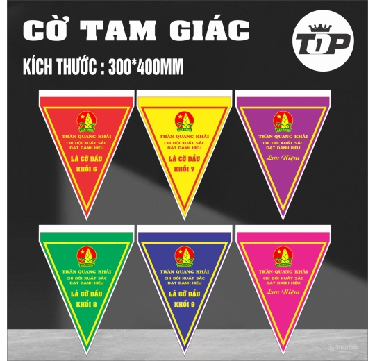 Cờ Lưu Niệm Tam Giác 30*40cm