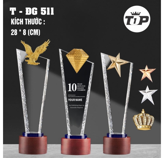 Dấu Ấn Lãnh Đạo - ĐG 511