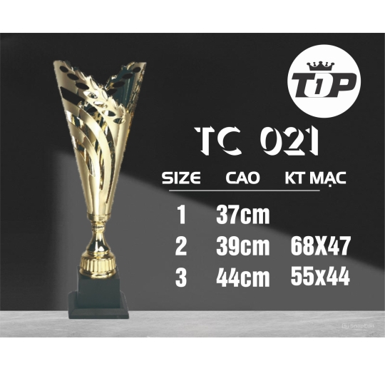 Cúp Thể Thao TC 021