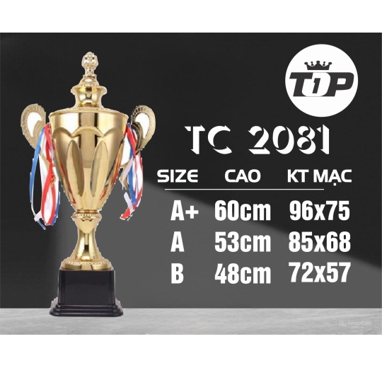 Cúp Thể Thao TC 2081