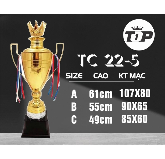 Cúp Thể Thao TC 22-5